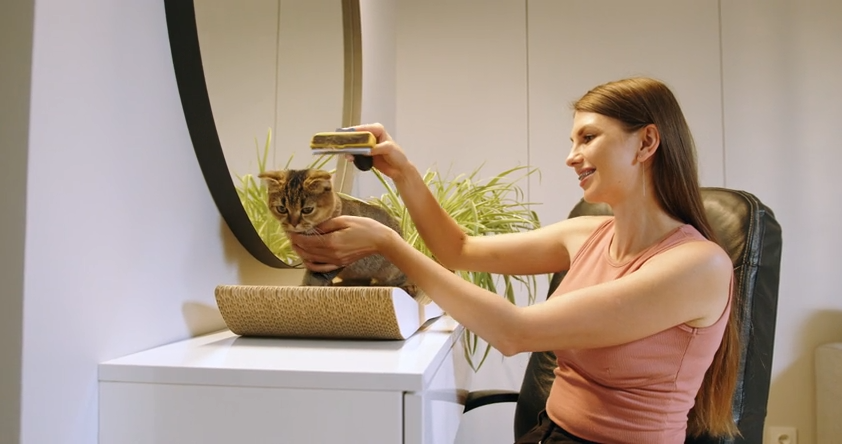Caring for Cats at Home: Comfort, Grooming and Enrichment
