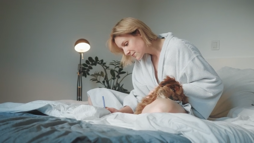 The Small Daily Routines That Strengthen Life With Your Pet