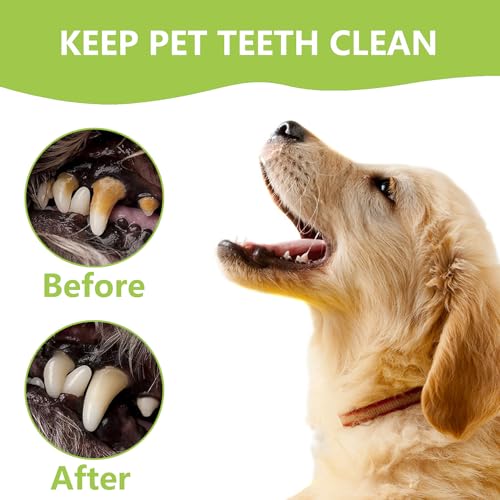 PARYUNGR Dental Tools Pet Dog Cat Teeth Cleaning Oral Care Tool Kit