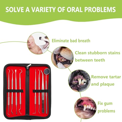 PARYUNGR Dental Tools Pet Dog Cat Teeth Cleaning Oral Care Tool Kit