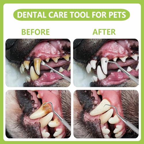PARYUNGR Dental Tools Pet Dog Cat Teeth Cleaning Oral Care Tool Kit