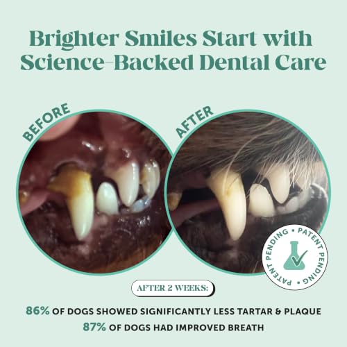 Dog Breath Freshener Dental Powder for Teeth Cleaning Plaque Off, Dental Care for Dogs, Tartar Remover for Teeth with Natural Herbal Blend + Postbiotcs