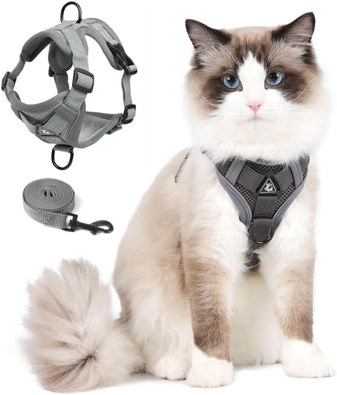 CAT Harness