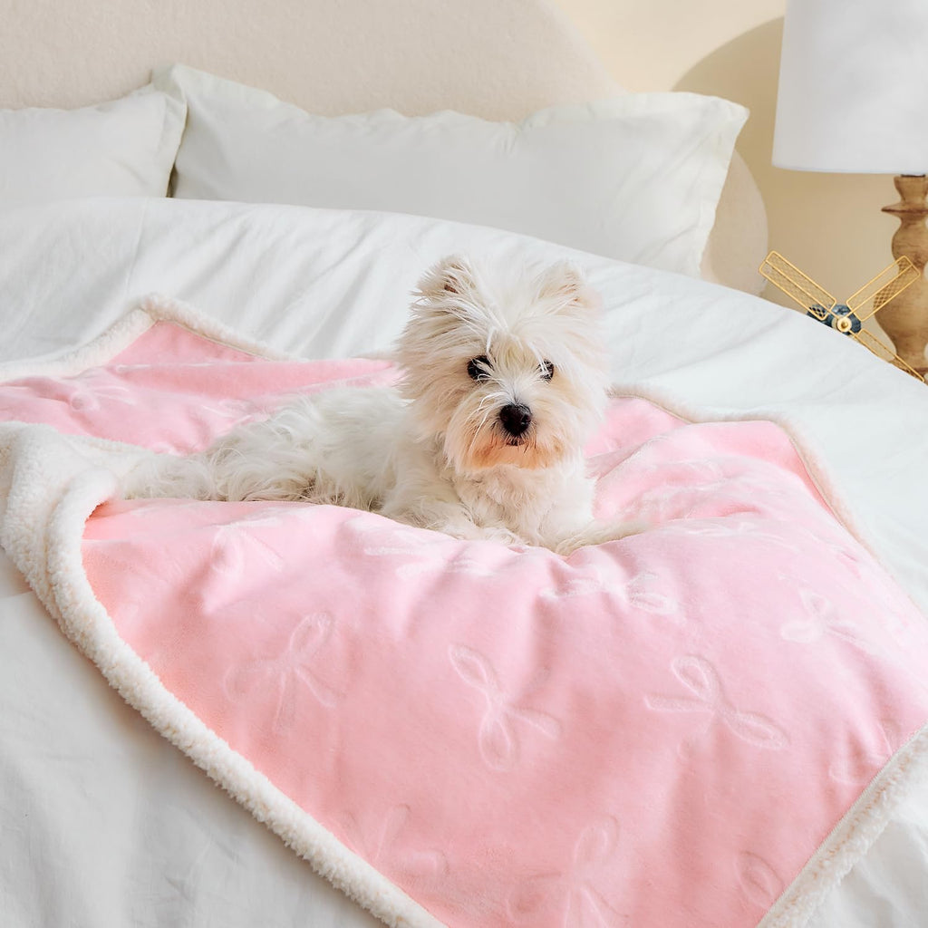 Qeils Waterproof Cat Blanket, Soft Pet Blanket for Sofa Couch
