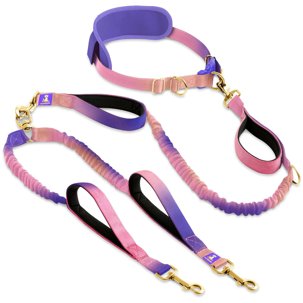 SparklyPets - Dog Leash - Professional Harness with Reflective Stitches for Training, Walking, Jogging and Running Your Pet