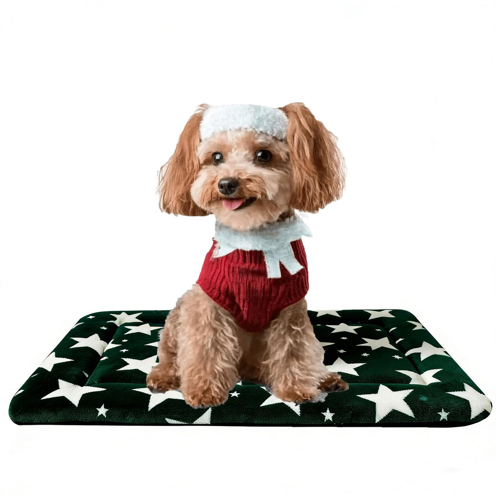 Fogkiss Reversible Dog Mat for Pet Comfort - Soft Bed Pads with Dual-Sided Design for All Seasons - Durable, Machine Washable for Crates, Travel, and Home