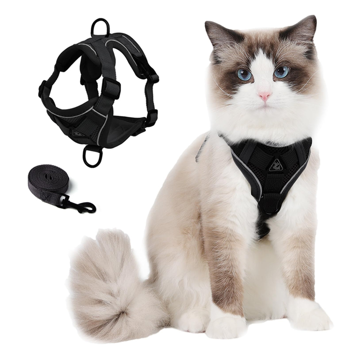 CAT Harness