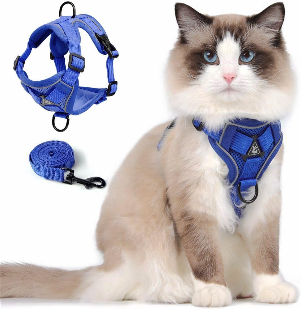 CAT Harness
