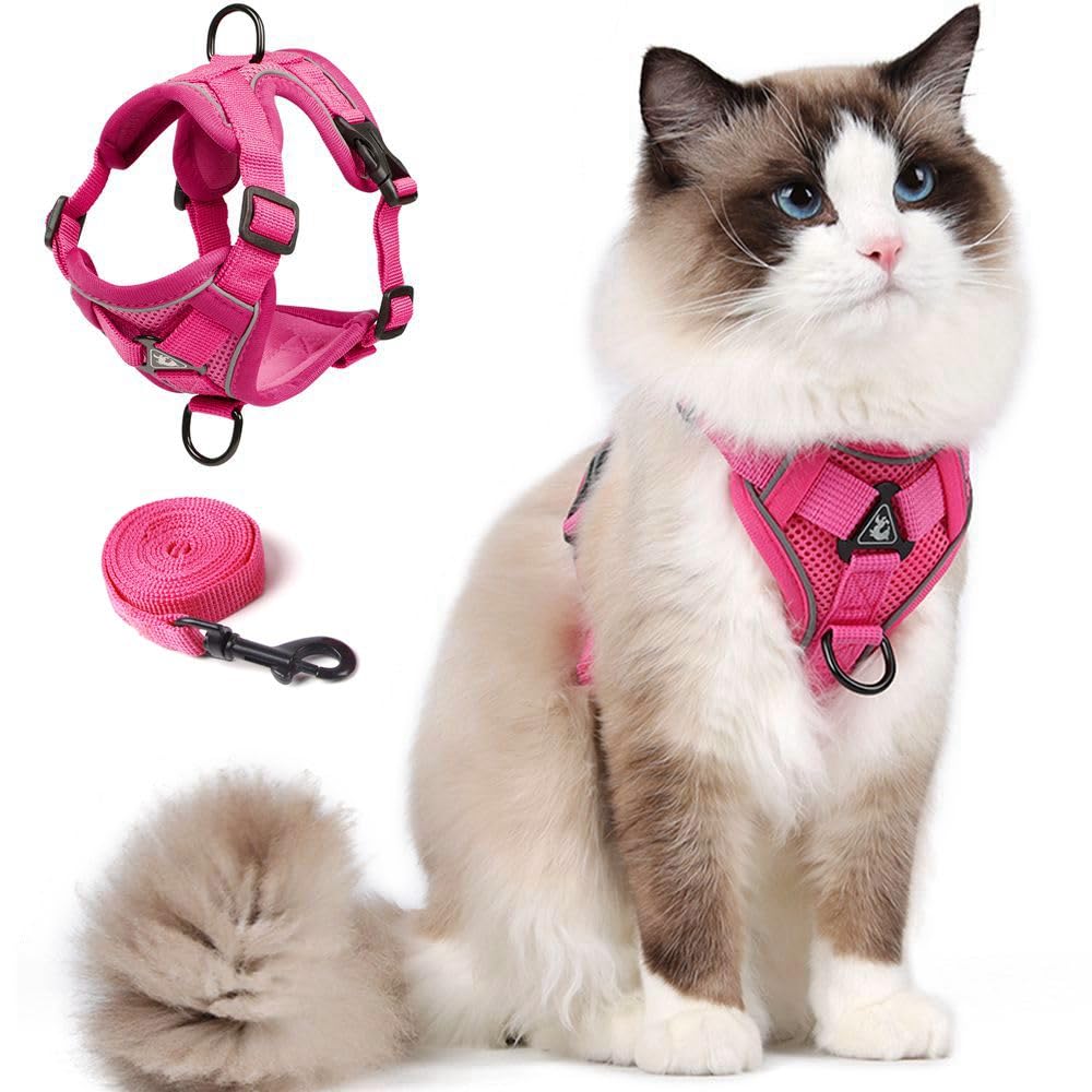 CAT Harness