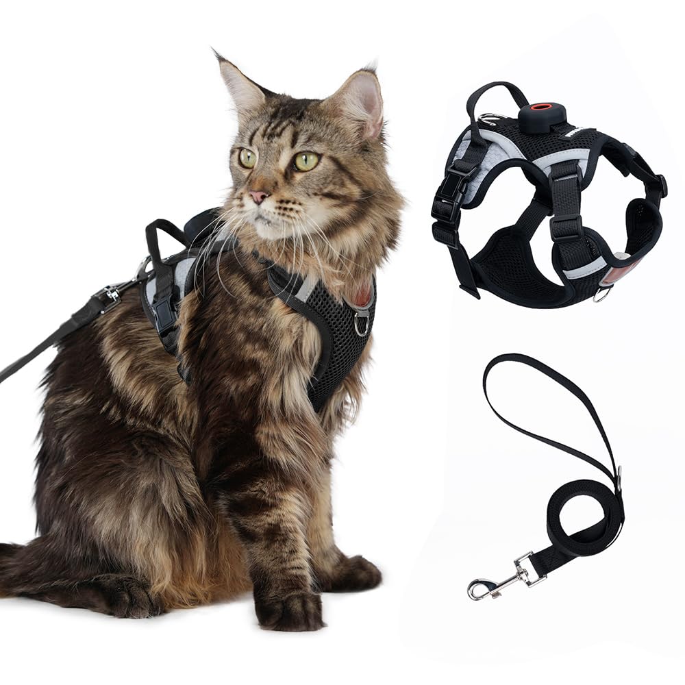 CAT Harness
