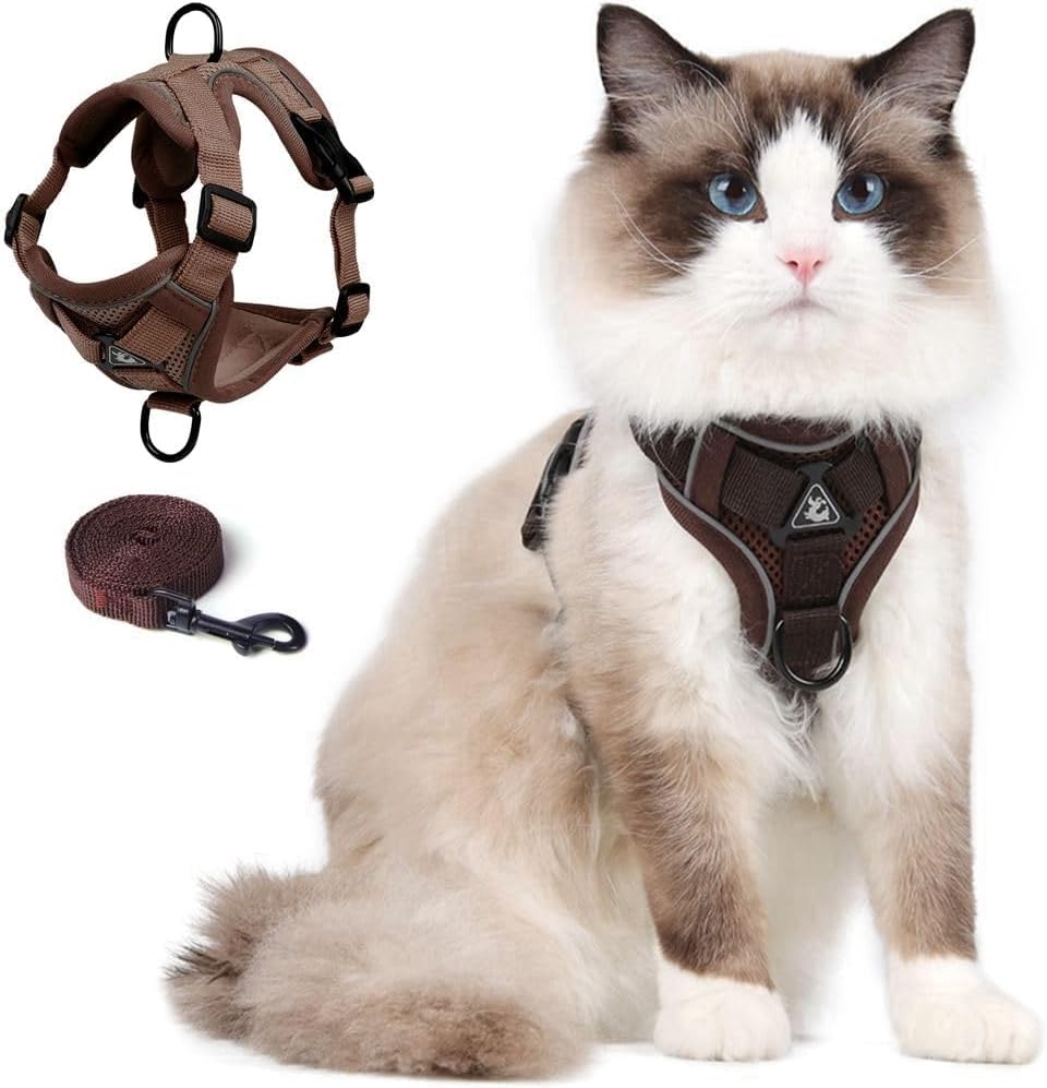 CAT Harness