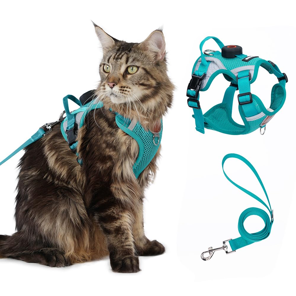CAT Harness