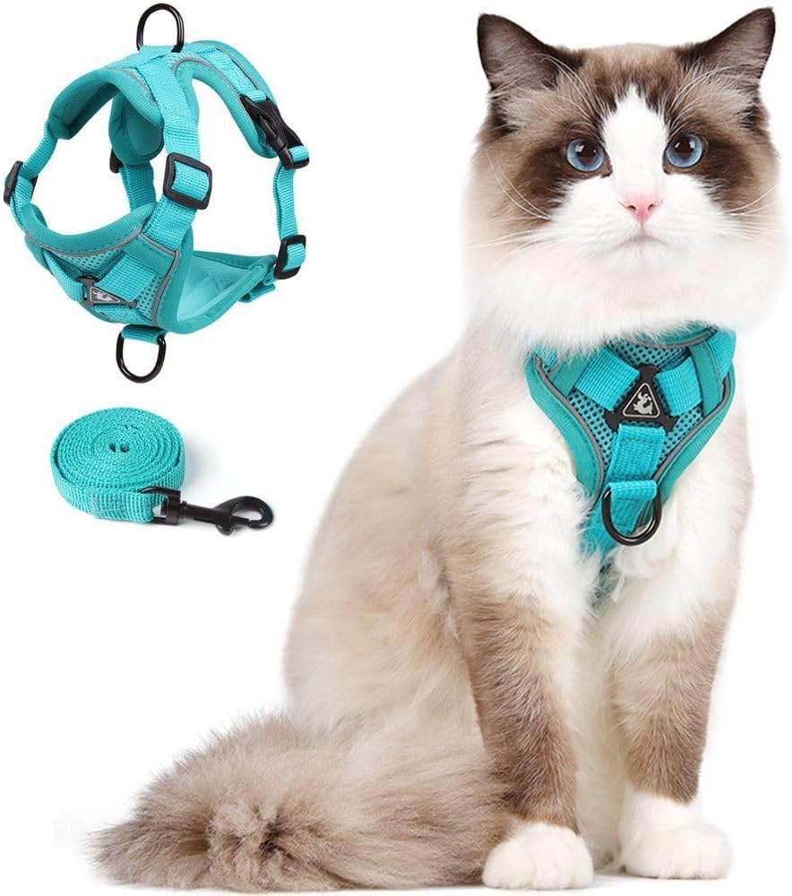CAT Harness