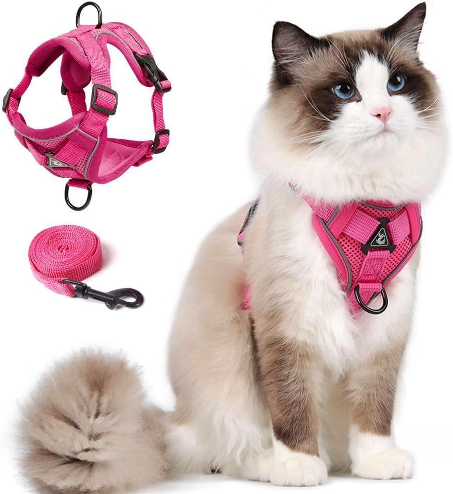 CAT Harness