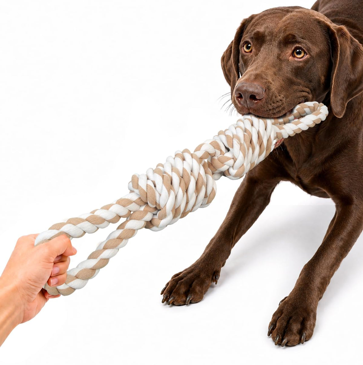 Fida Dog Rope Toys for Medium/Large Aggressive Chewers, Tough Indestructible Natural Cotton Rope, 3 Feet 5 Knots Tug of War Teeth Cleaning