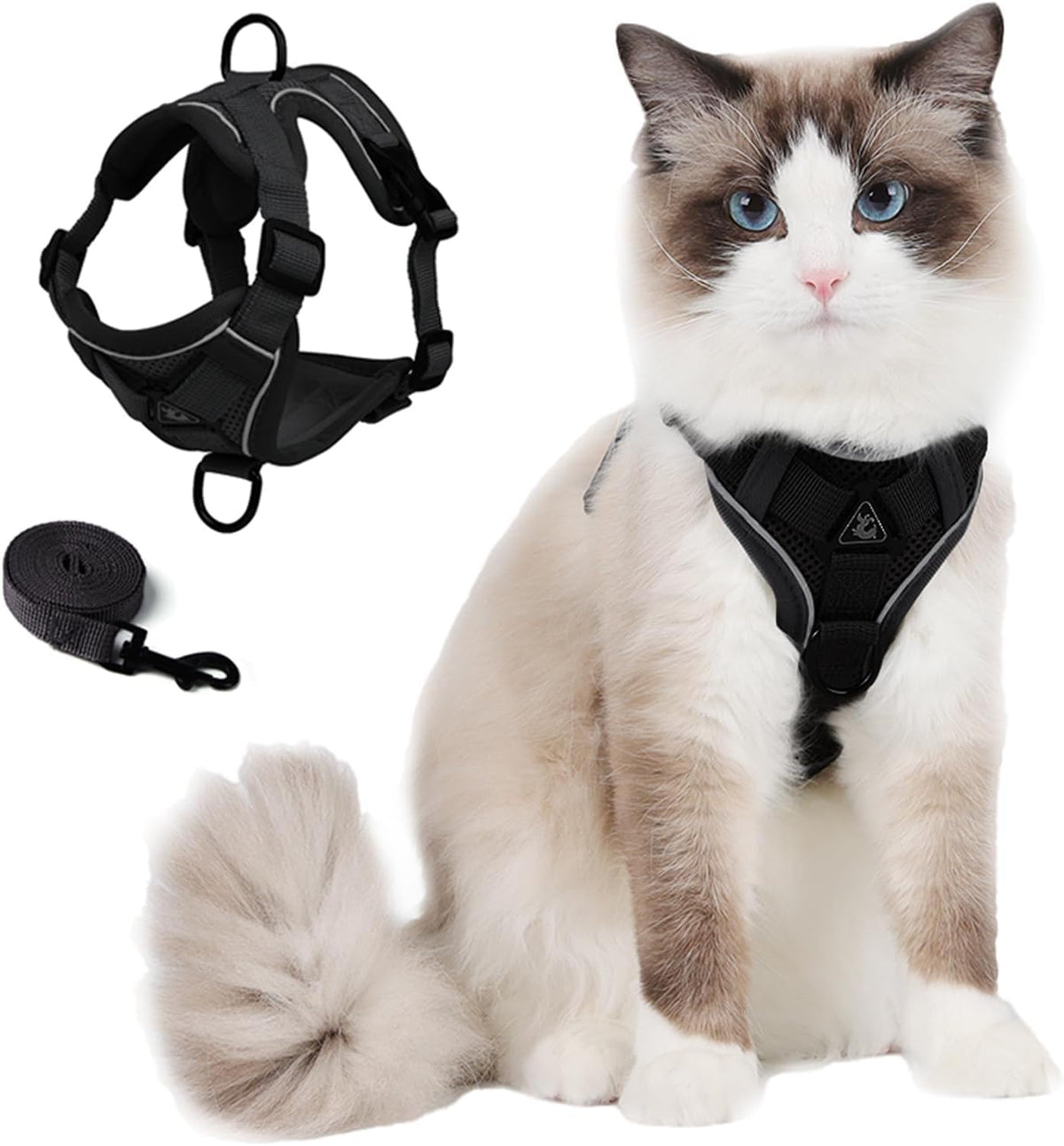 CAT Harness