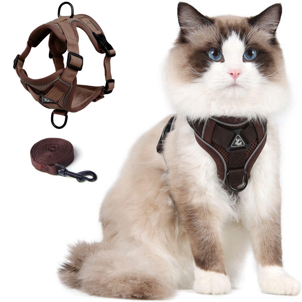 CAT Harness