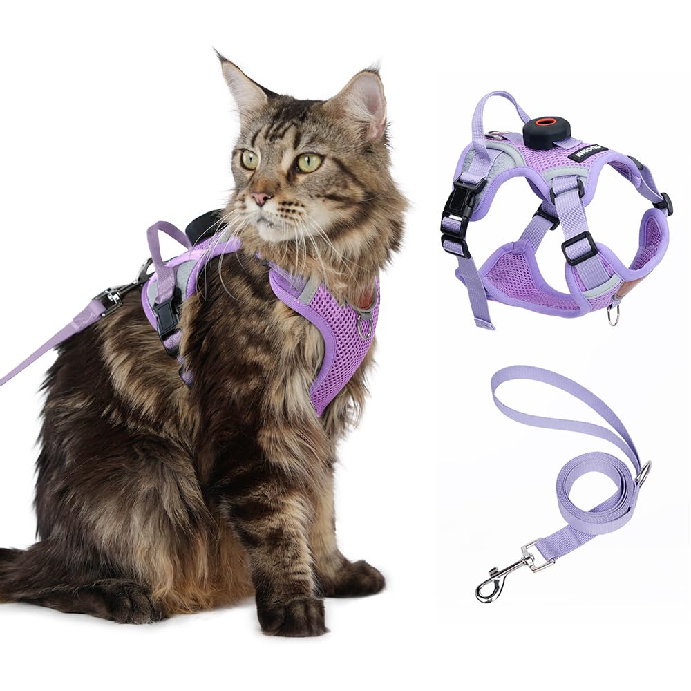 CAT Harness