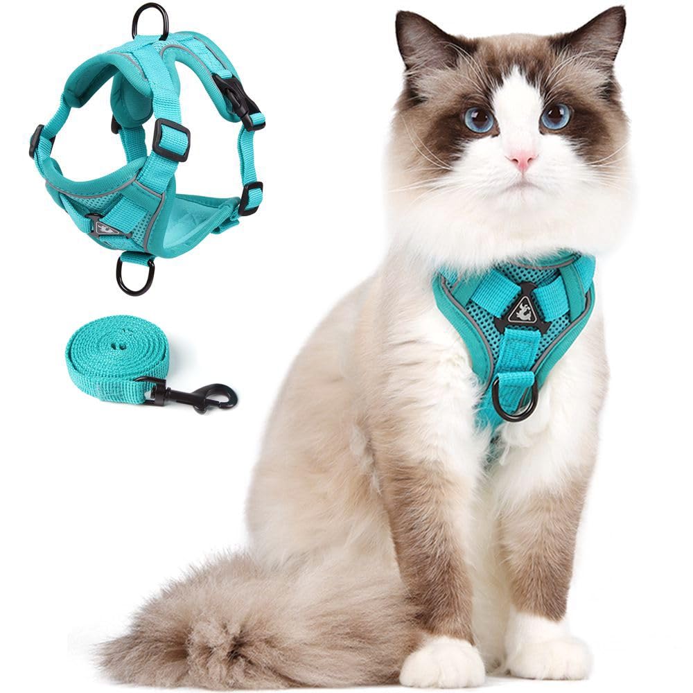 CAT Harness