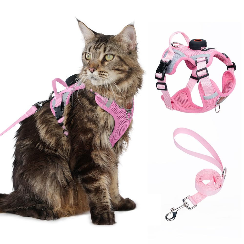 CAT Harness
