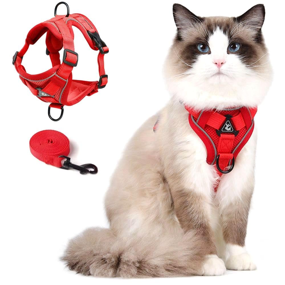 CAT Harness