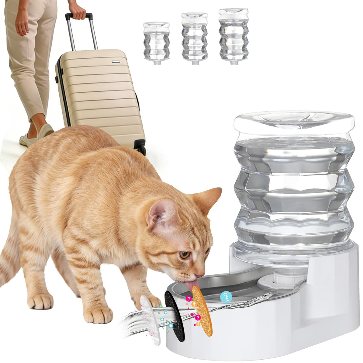 RIZZARI Stainless Steel Gravity Water Dispenser – BPA-Free