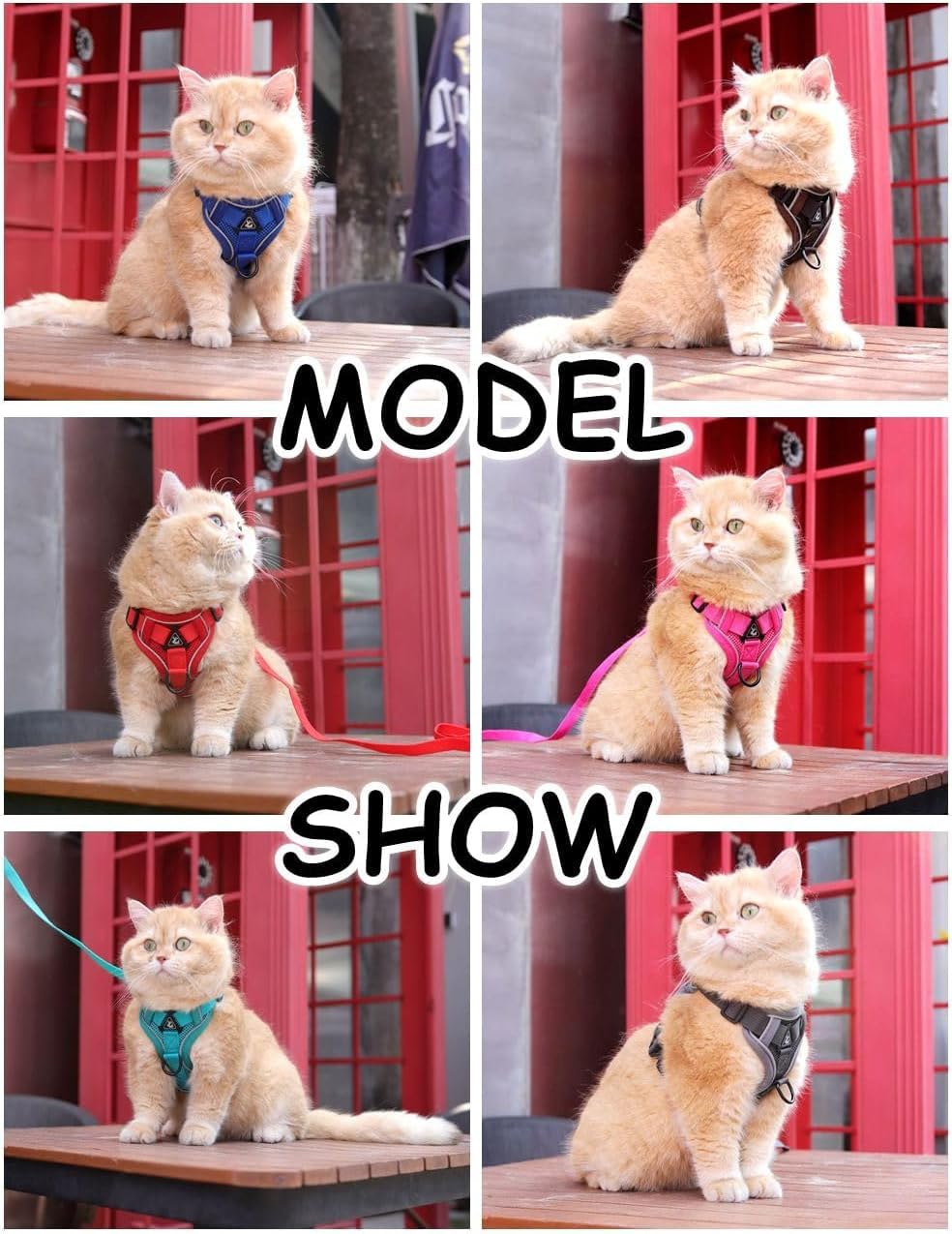 CAT Harness
