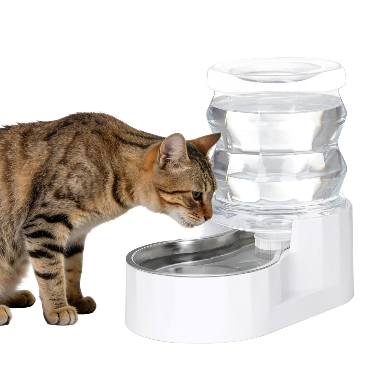 RIZZARI Stainless Steel Gravity Water Dispenser – BPA-Free