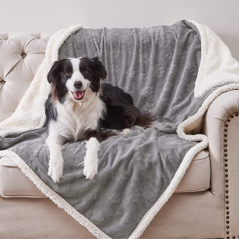Qeils Waterproof Cat Blanket, Soft Pet Blanket for Sofa Couch