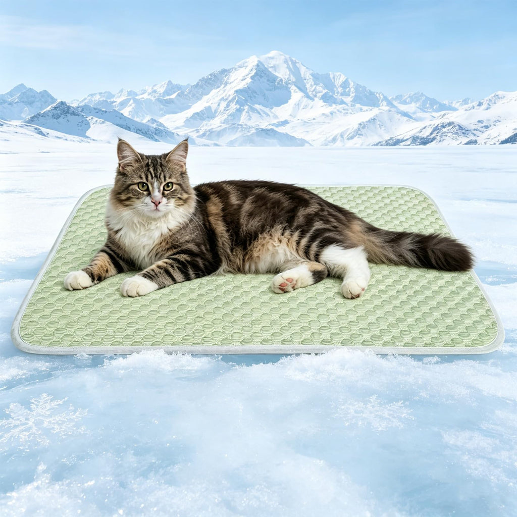 GOLOPET Cooling Warm mat