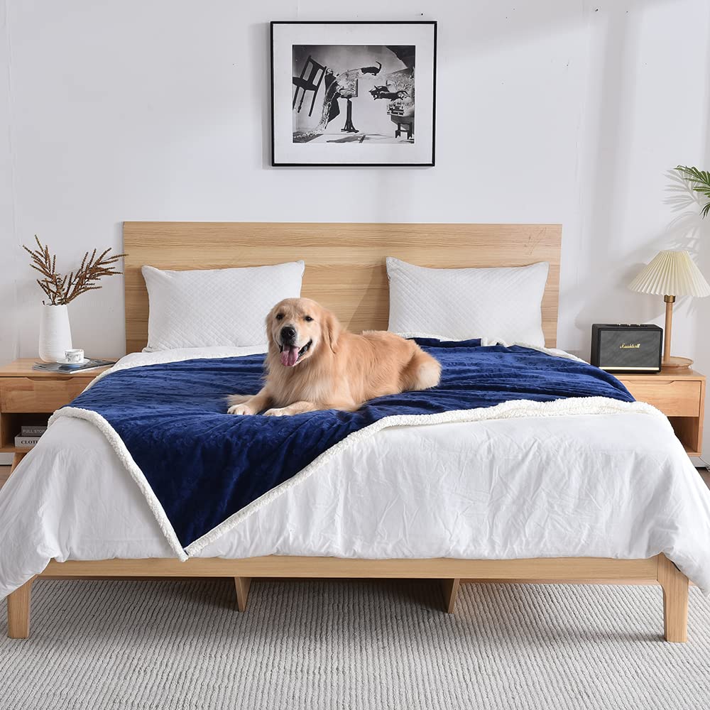 Qeils Waterproof Cat Blanket, Soft Pet Blanket for Sofa Couch