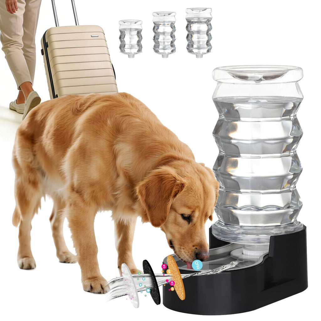 RIZZARI Stainless Steel Gravity Water Dispenser – BPA-Free