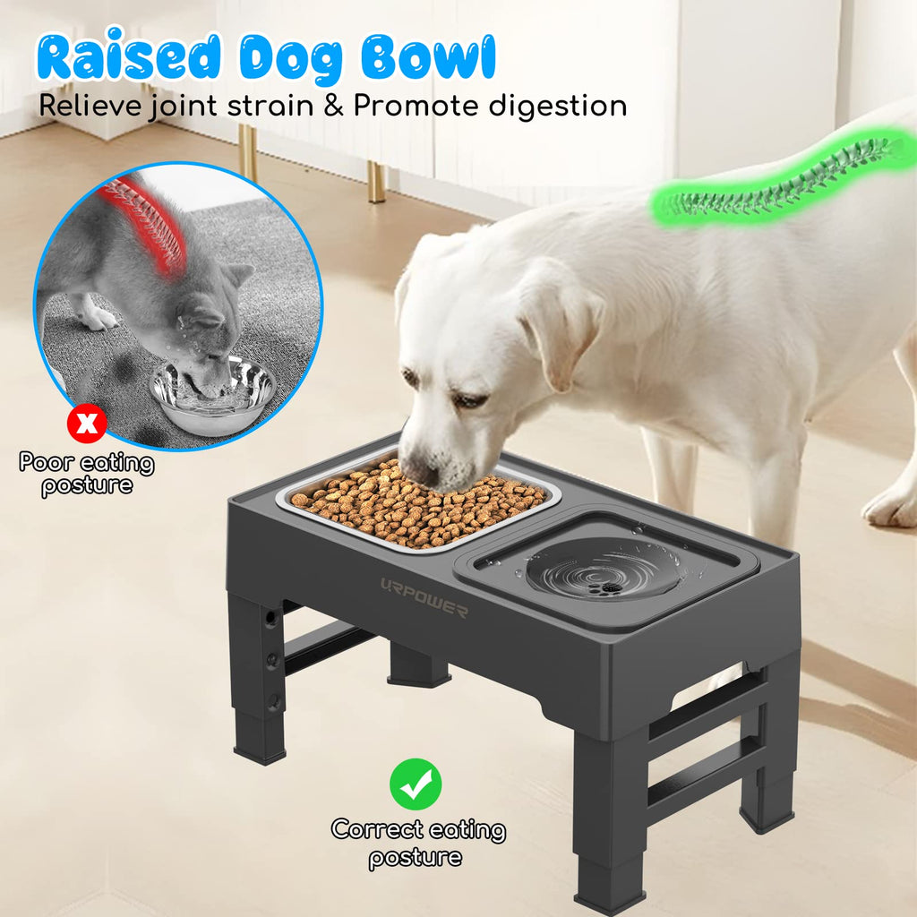 URPOWER 2-in-1 Elevated Slow Feeder Dog Bowls with No-Spill Water Bowl