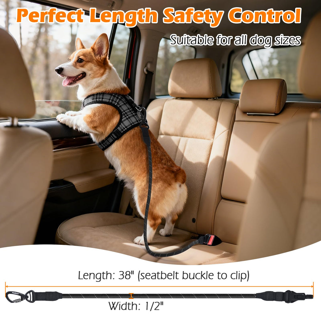 PetBonus No-Tangle Double Dog Leash & Car Seat Belt