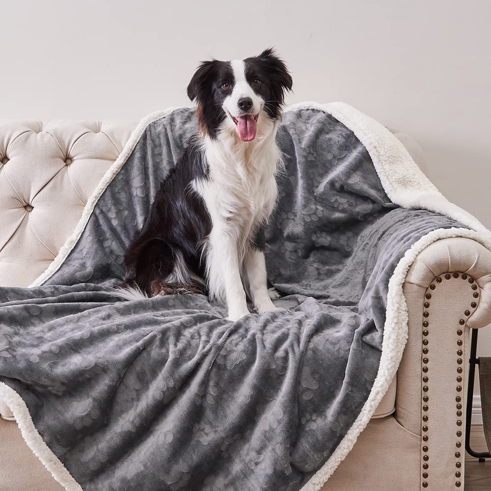 Qeils Waterproof Cat Blanket, Soft Pet Blanket for Sofa Couch