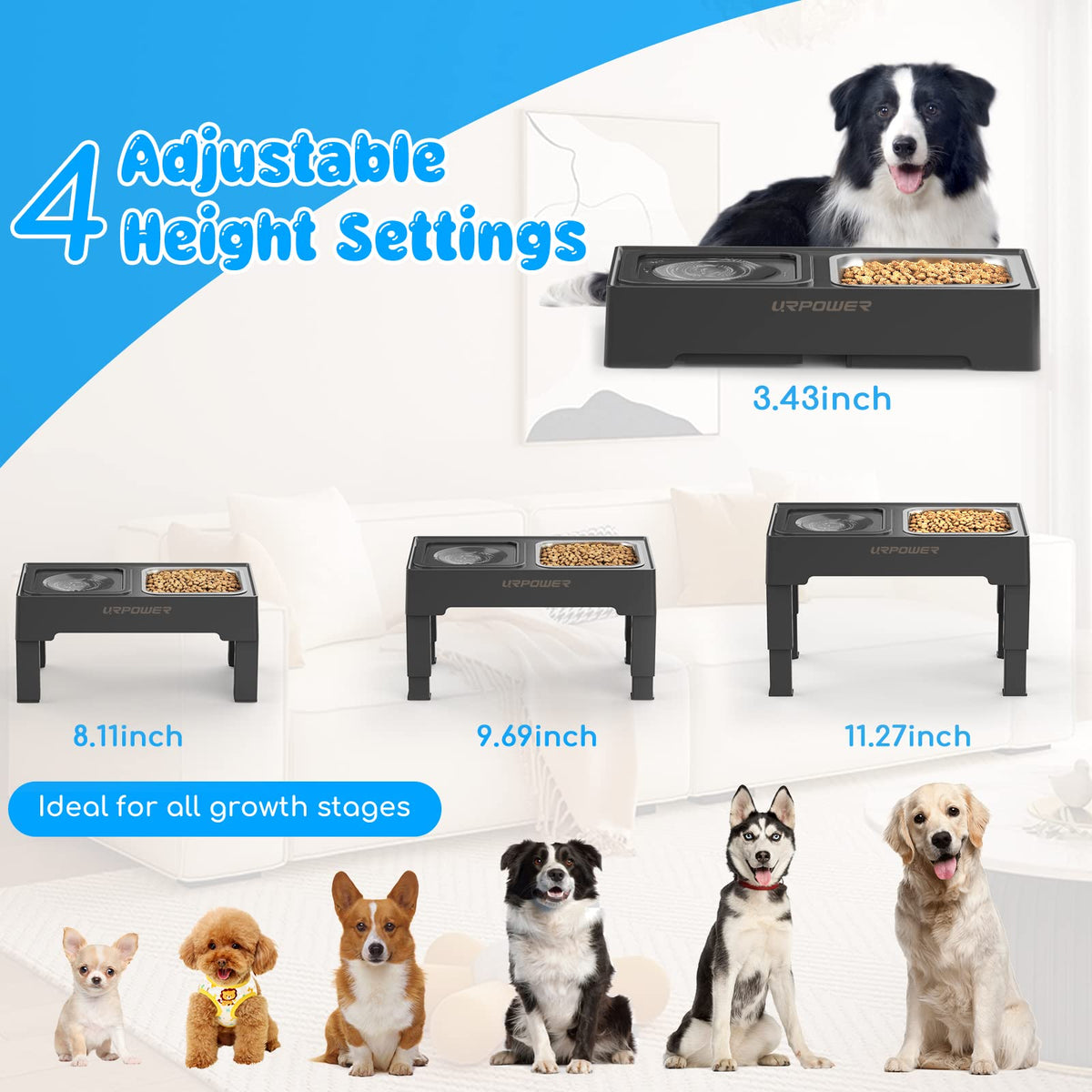 URPOWER 2-in-1 Elevated Slow Feeder Dog Bowls with No-Spill Water Bowl