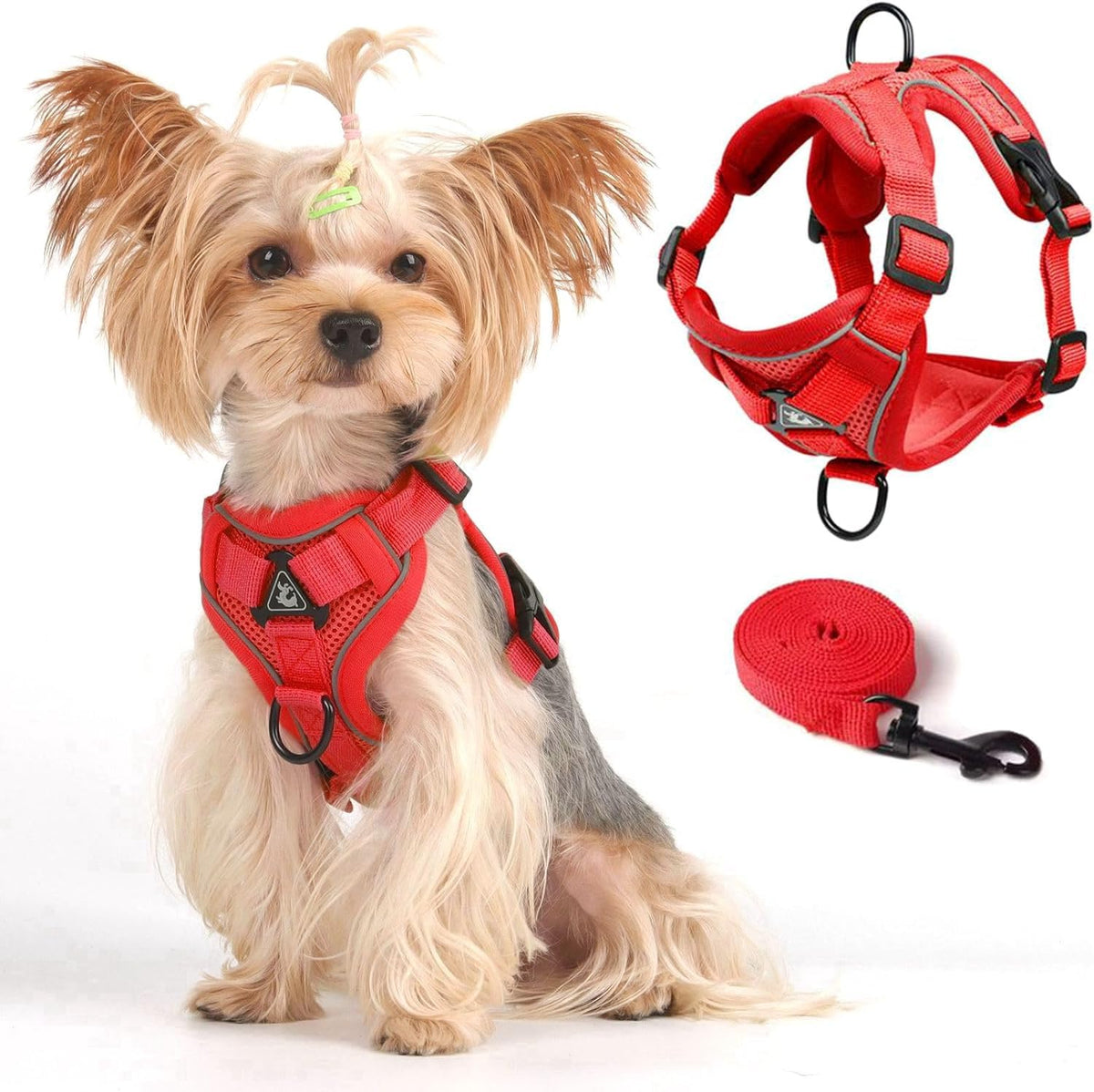 CAT Harness