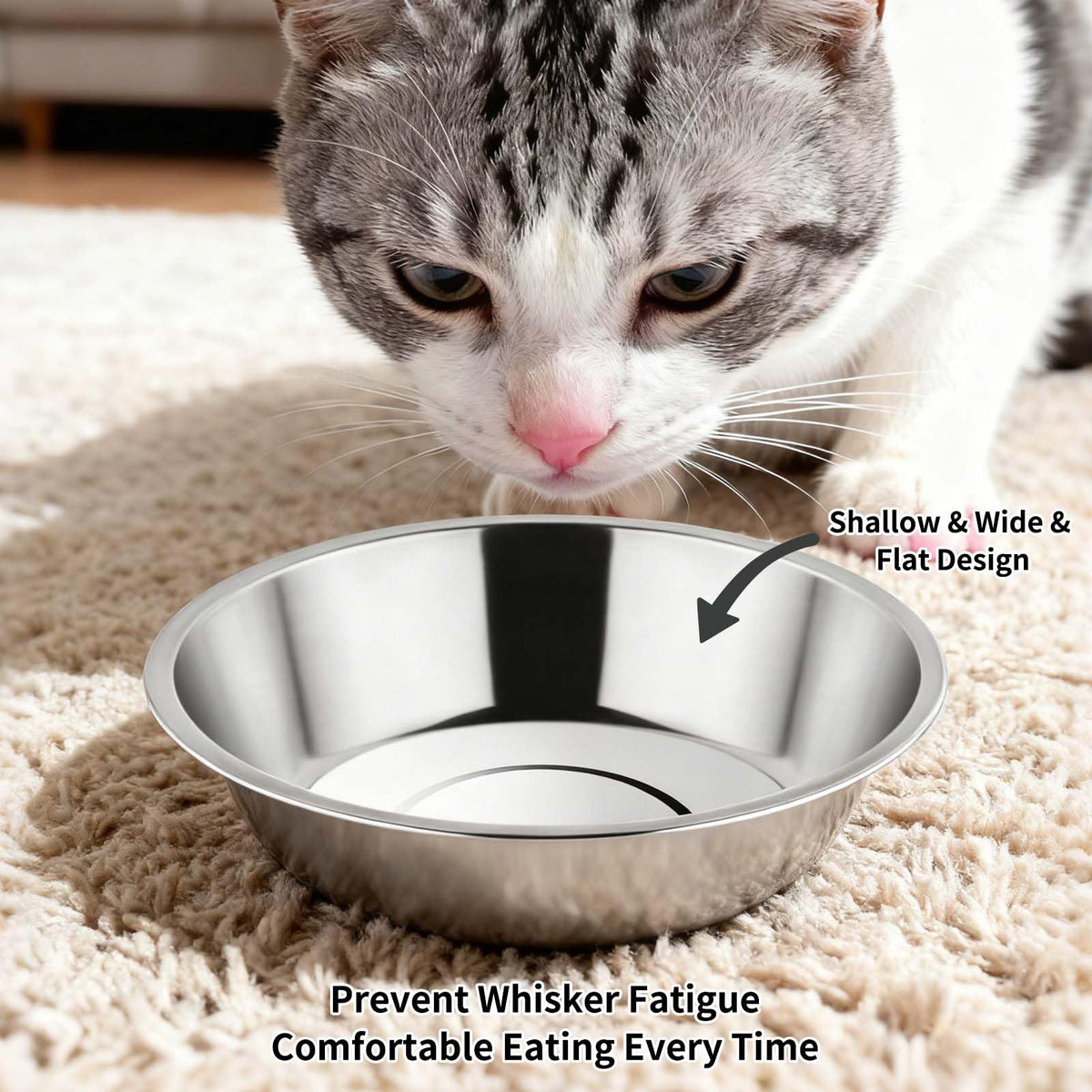 Tifanso 6PCS Stainless Steel Whisker Friendly Cat Food & Water Bowls