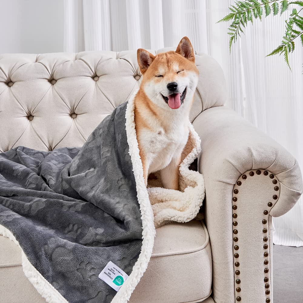 Qeils Waterproof Cat Blanket, Soft Pet Blanket for Sofa Couch