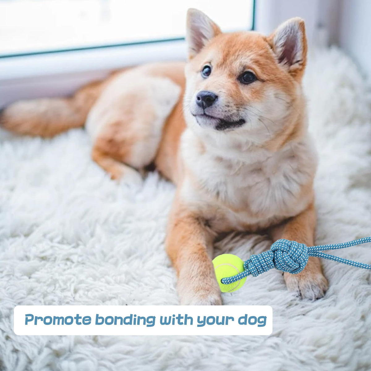 Erhalithegro Dog Rope Toy for Aggressive Chewers Interactive Dog Toy Tug of War Dog Toy Rope Tether Tug Outdoor Dog Toy 1 Knot Puppy Teething Chew Cotton Rope with Tennis Ball