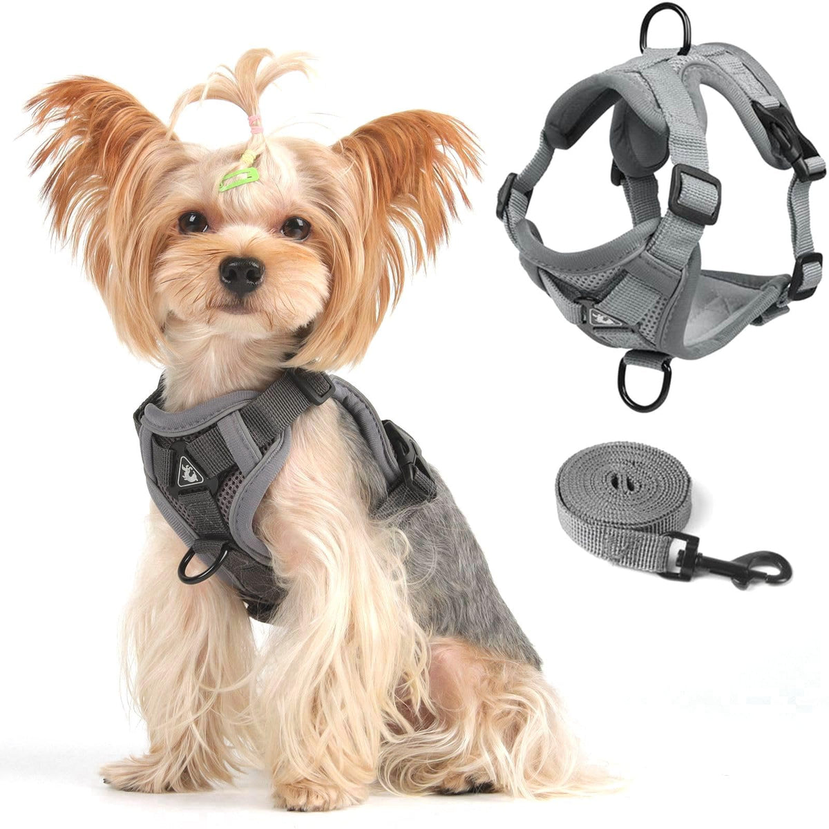 CAT Harness
