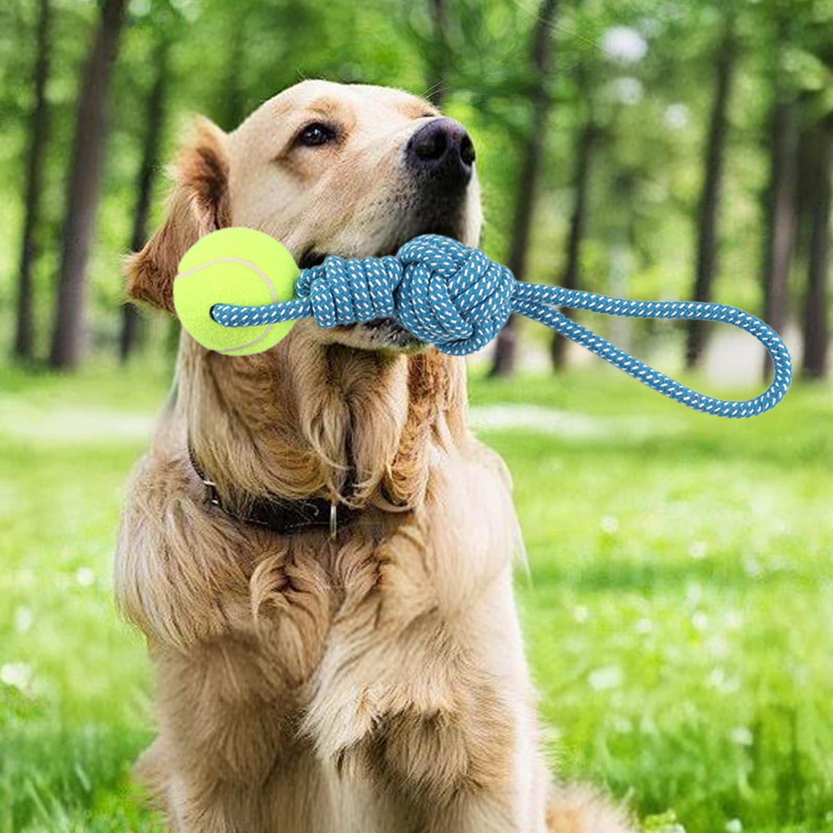 Erhalithegro Dog Rope Toy for Aggressive Chewers Interactive Dog Toy Tug of War Dog Toy Rope Tether Tug Outdoor Dog Toy 1 Knot Puppy Teething Chew Cotton Rope with Tennis Ball
