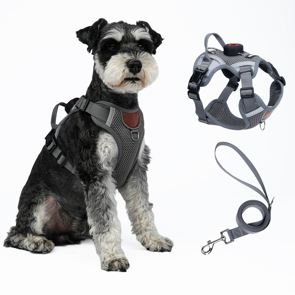 CAT Harness
