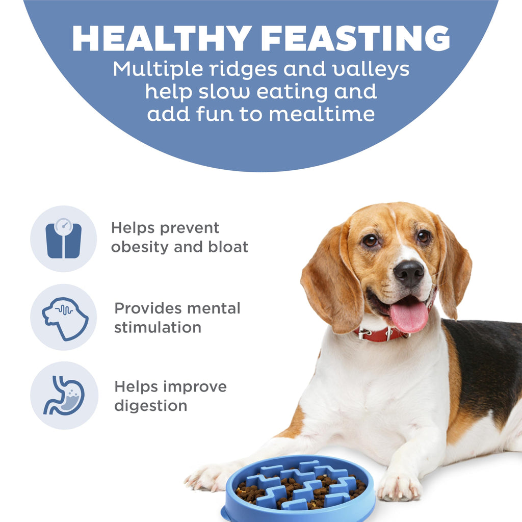 Outward Hound Fun Feeder Stainless Steel Slo Bowl for Dogs, Medium