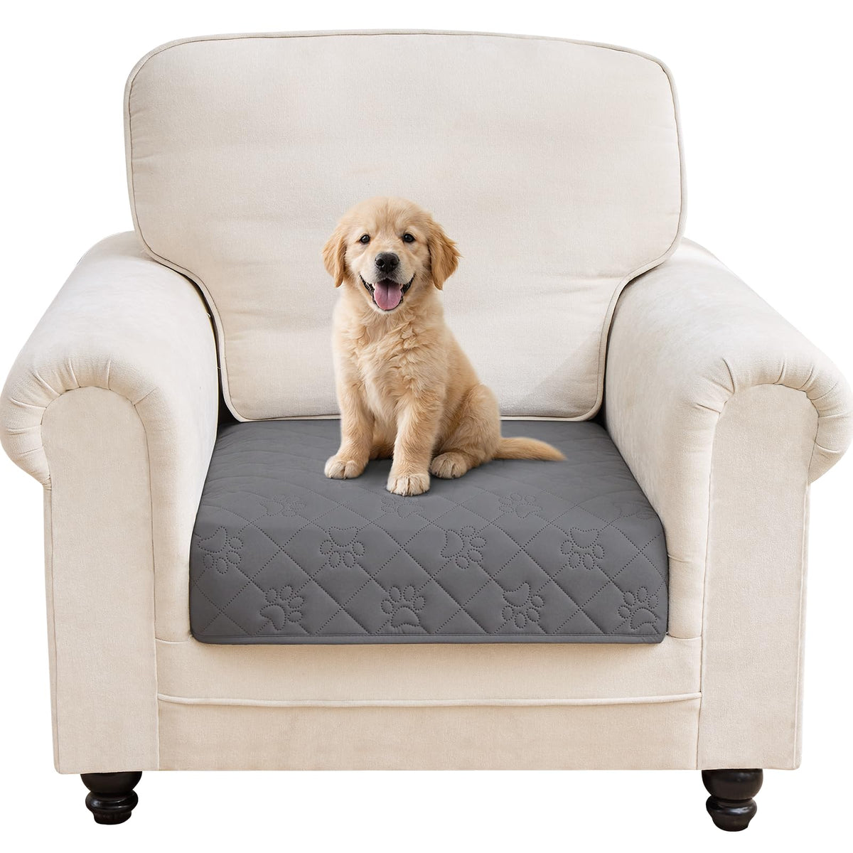PAWFINITY Waterproof Dog Blanket for Couch, Sofa & Bed, Washable Pet Furniture Cover Covers for Pets