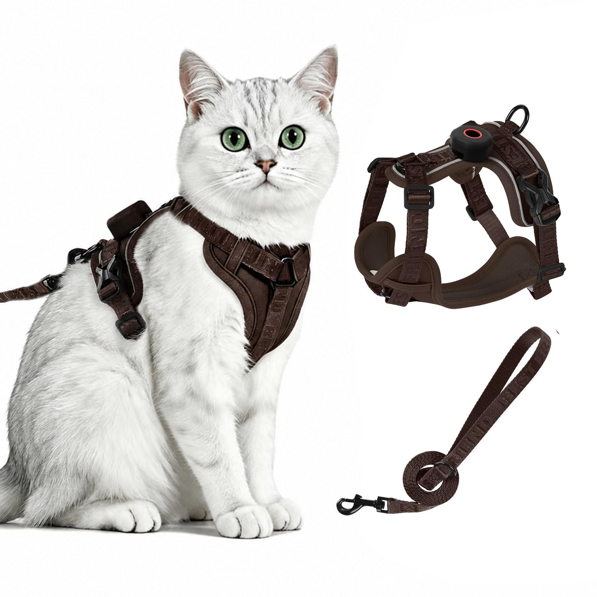 CAT Harness