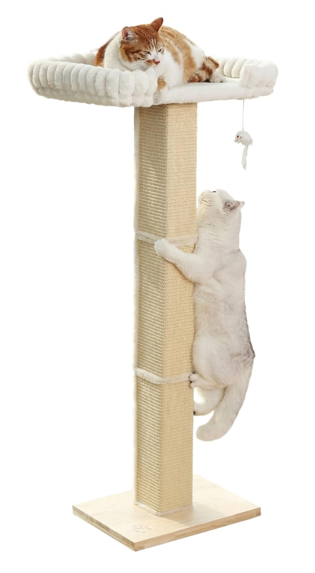 Cat Window Perch with Tall Scratching Posts, Inside Climbing Tree Hammmock Mounted with Suction Cups for Sleeping,Playing and Watching Birds