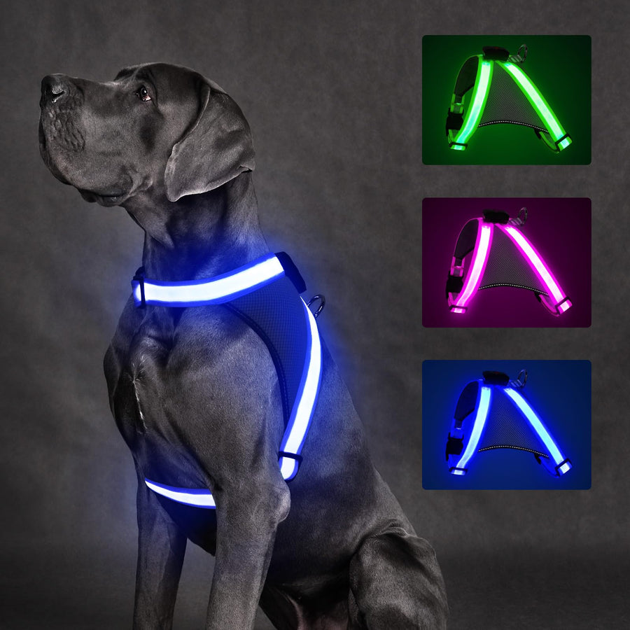 ChalkLit LED Light-Up Dog Harness for Night Walking