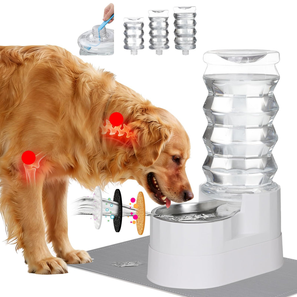 RIZZARI Stainless Steel Gravity Water Dispenser – BPA-Free