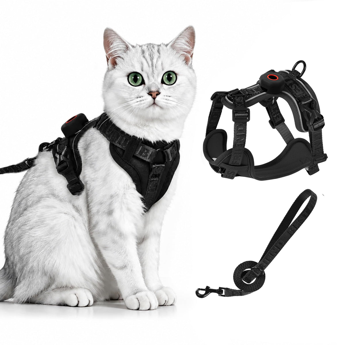 CAT Harness